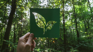 Main tenant une feuille decoupee en forme de plante avec une foret en arriere plan symbolisant lecologie et le developpement durable